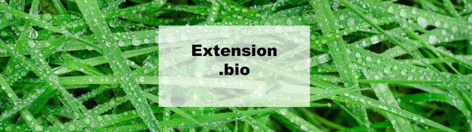 extension bio 1024x269 1