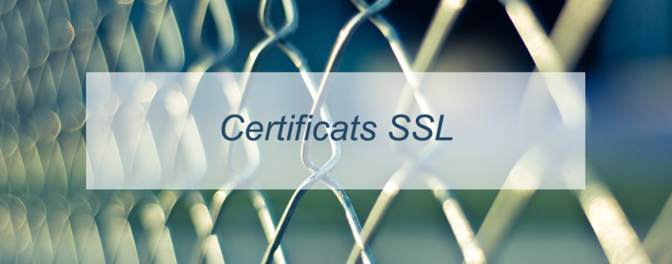 certificats SSL 1024x378 1