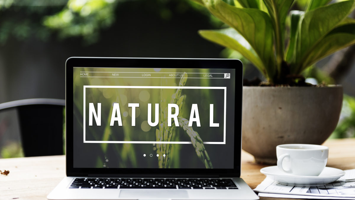ecology fresh lush natural nature scaled